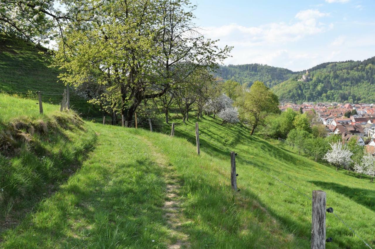 Ferienwohnung Im Dettenbachtal Waldkirch Exterior foto